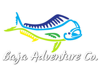 Baja Adventure Company logo design by jaize