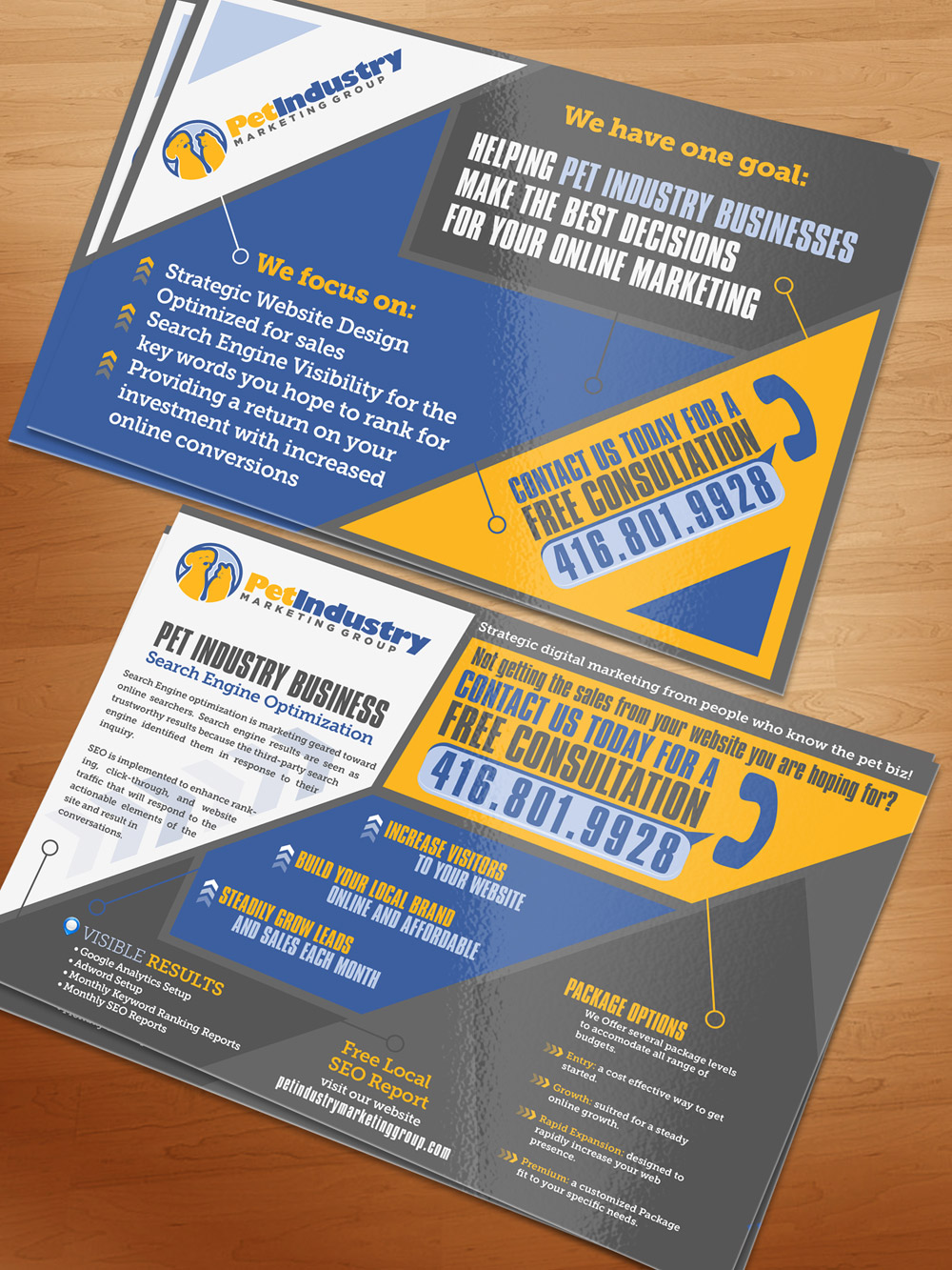 Post Card or Flyer design for my SEO business logo design by scriotx