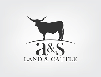 A & S Investments, LLC Logo Design