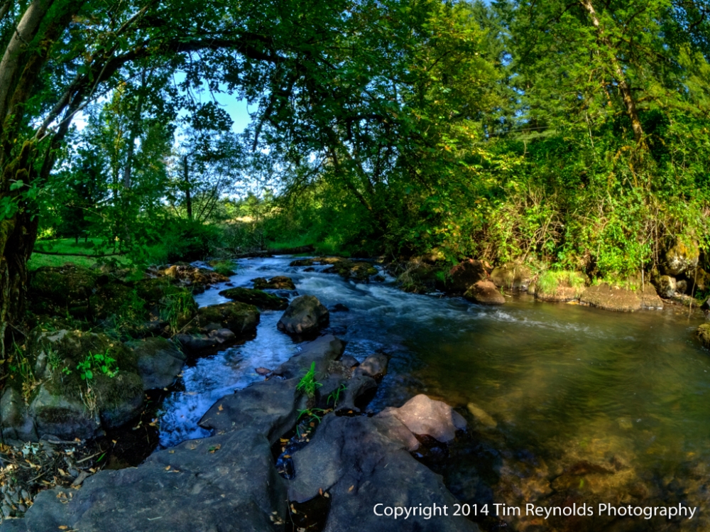 Whispering Waters Farm Logo Design 48hourslogo