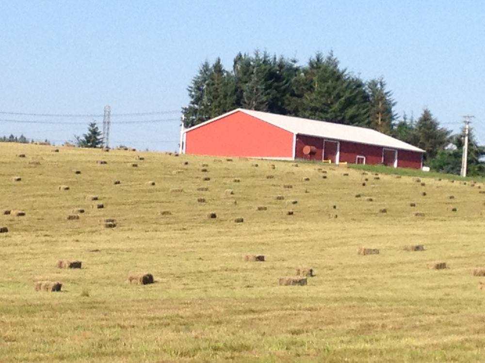 Whispering Waters Farm Logo Design 48hourslogo