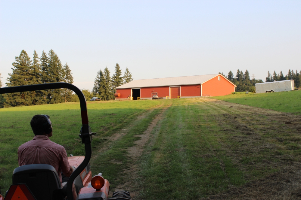 Whispering Waters Farm Logo Design 48hourslogo