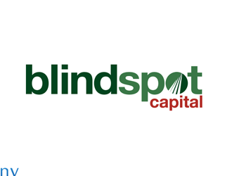 Blindspot Capital logo design by wendeesigns