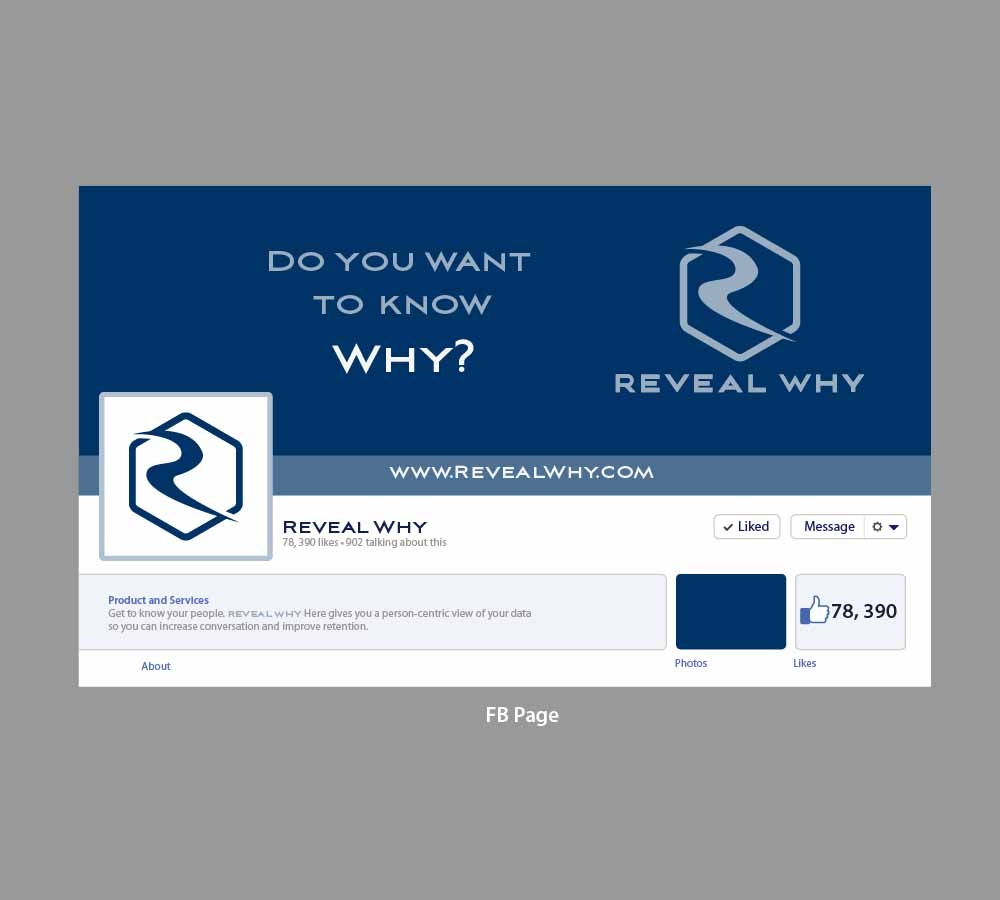 Reveal Why, LLC logo design by SOLARFLARE