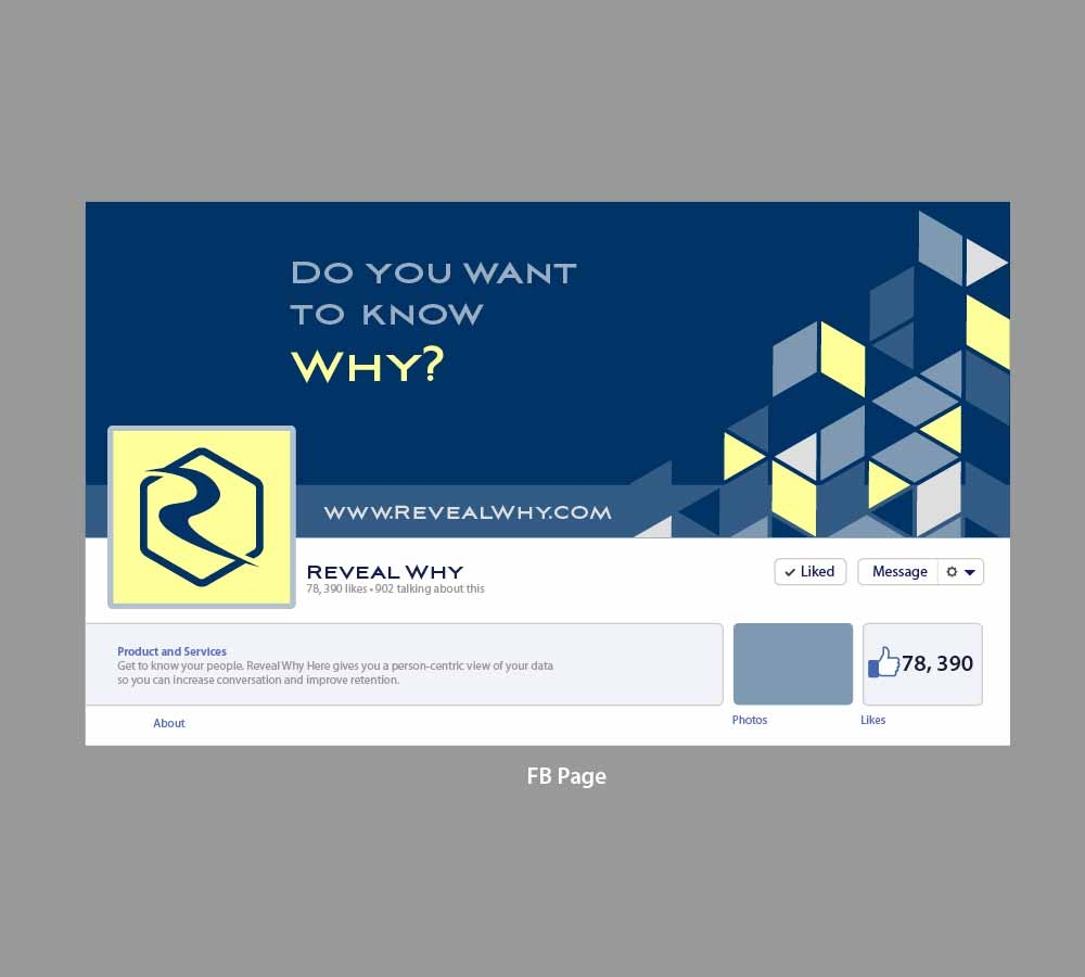 Reveal Why, LLC logo design by SOLARFLARE