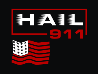 Hail 911 logo design by savana