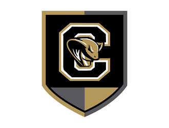 Coaldale Cobras logo design by Republik