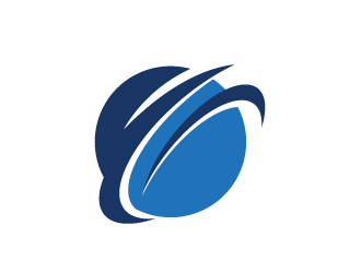 The Network logo design by bluespix