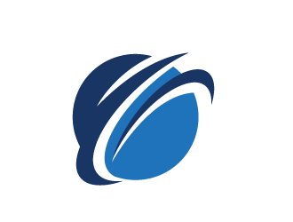 The Network logo design by bluespix