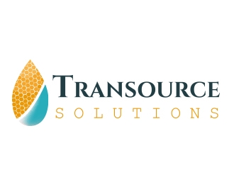 TranSourceSolutions logo design by fawadyk