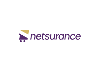 netsurance logo design by gg39