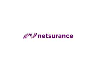 netsurance logo design by .::ngamaz::.