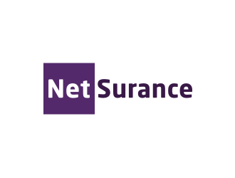 netsurance logo design by nurul_rizkon