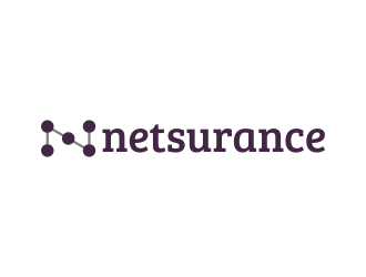 netsurance logo design by rykos