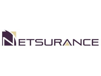 netsurance logo design by fawadyk