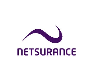 netsurance logo design by nehel