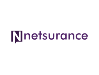 netsurance logo design by sheilavalencia