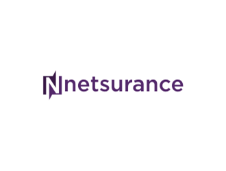 netsurance logo design by sheilavalencia
