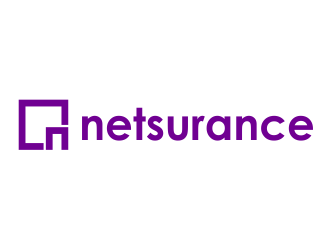 netsurance logo design by meliodas