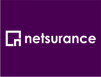 netsurance logo design by meliodas