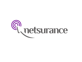 netsurance logo design by YONK