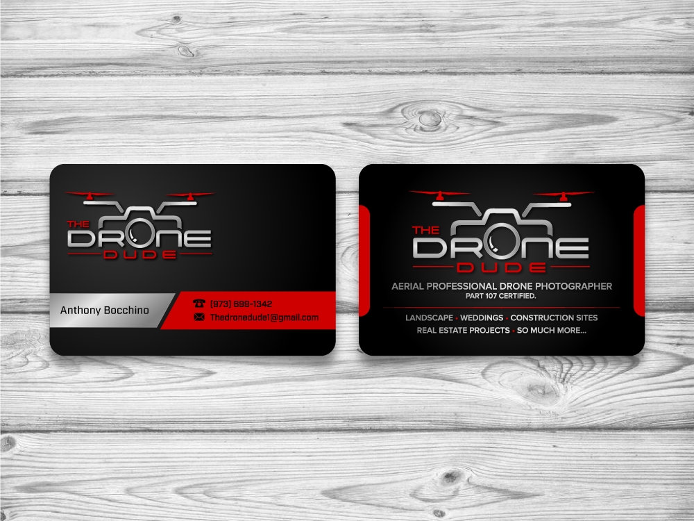 The Drone Dude logo design by jaize
