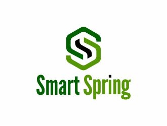 Smart Spring logo design by 48art