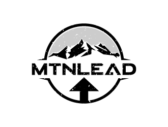 MtnLead logo design by Aelius