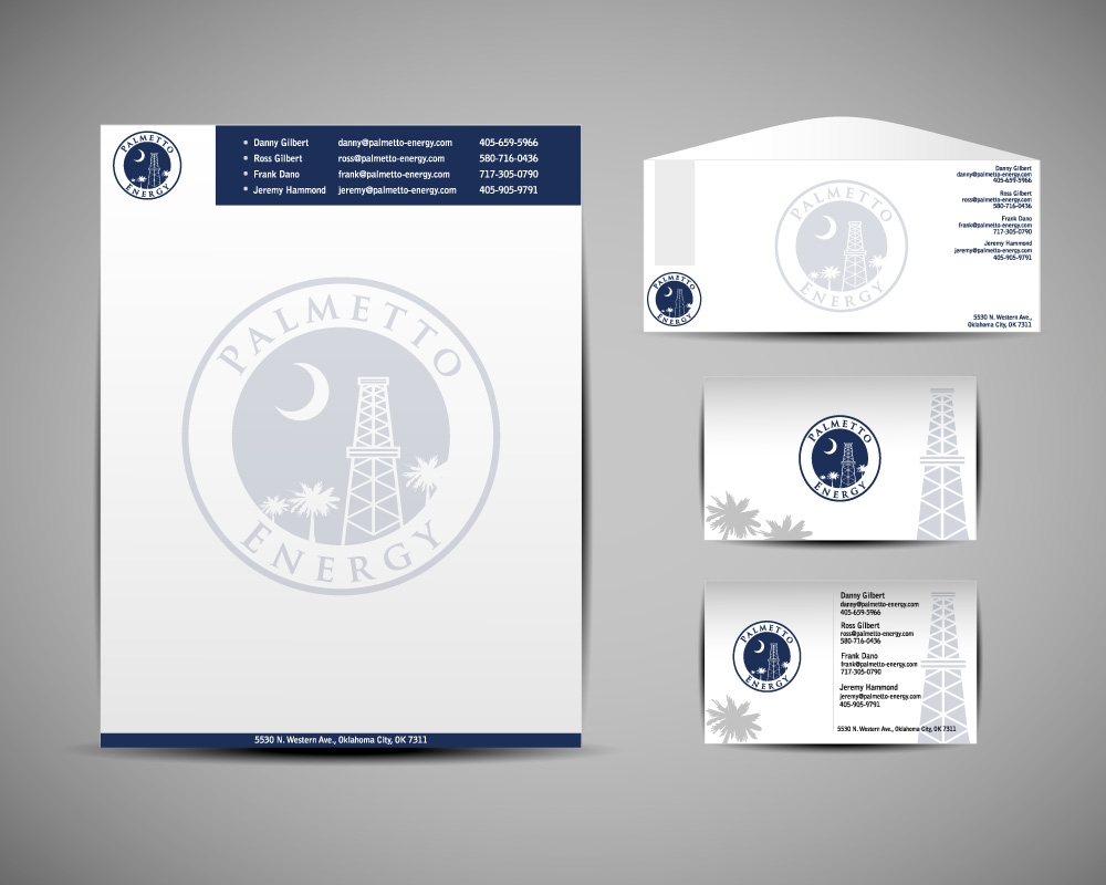 Palmetto Energy Digital Design 48hourslogo