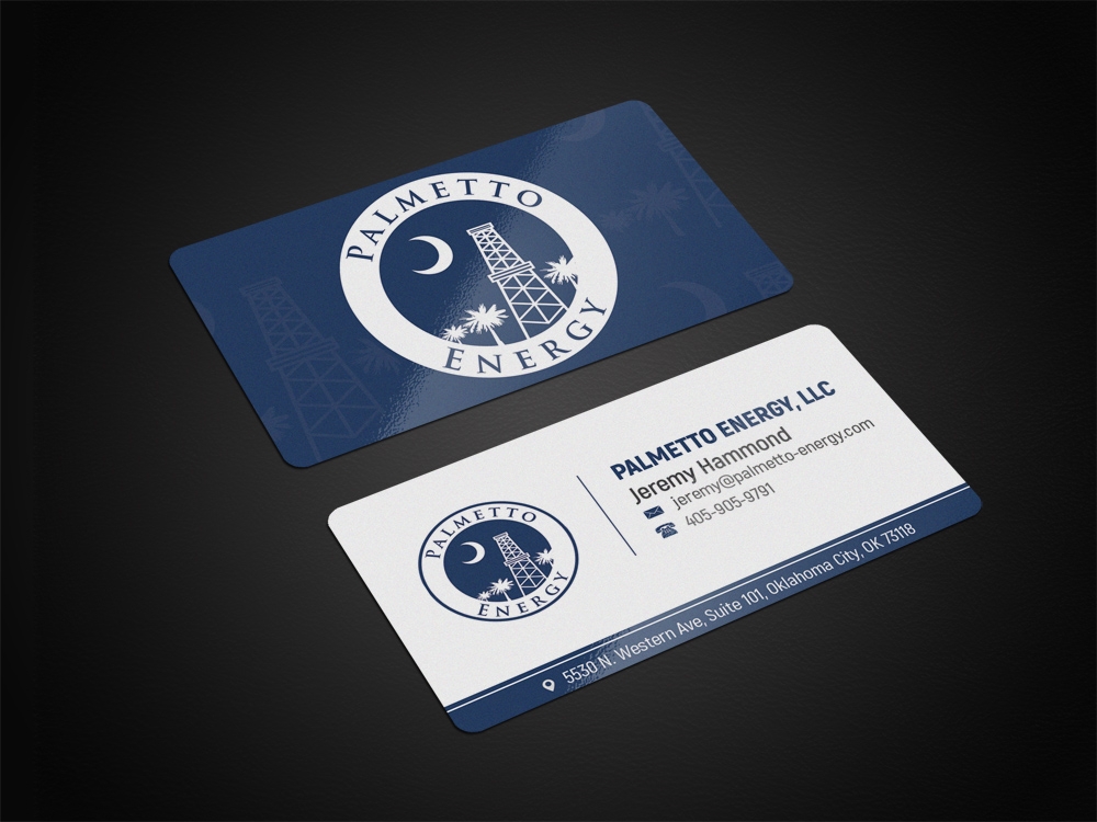Palmetto Energy Digital Design 48hourslogo
