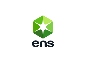 ENS logo design by catalin