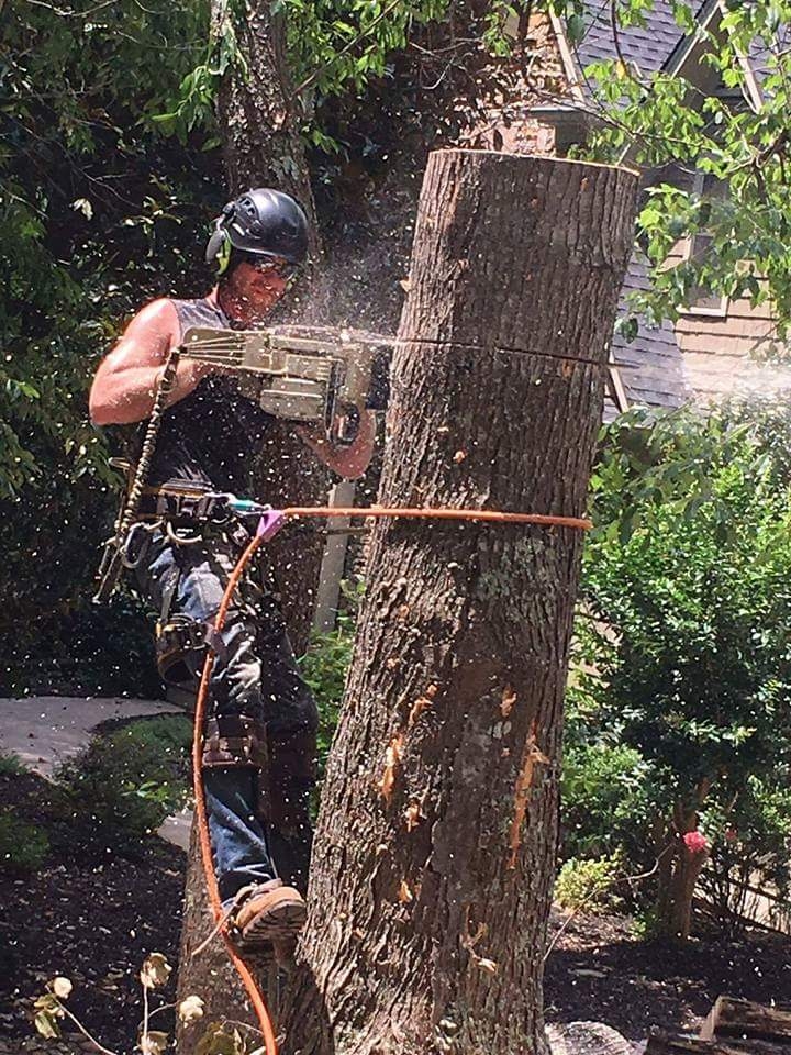 North Arbor Management LLC. Digital Design 48hourslogo