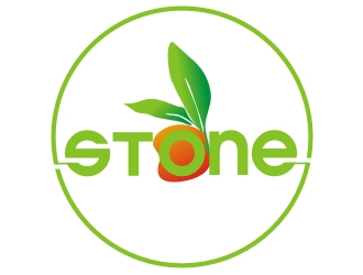 Stone logo design by hallim