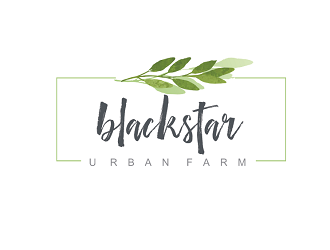 blackstar urban farm logo design by coco