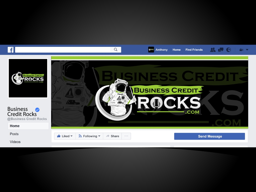 Business Credit Rocks  logo design by Bunny_designs