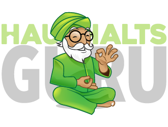 HAUSHALTSGURU logo design by reight