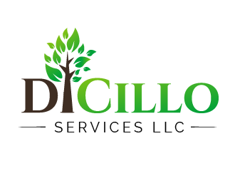 DiCillo Services LLC logo design by prodesign