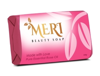 MERI logo design by GemahRipah