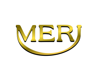MERI logo design by serprimero