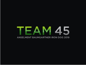 Team 45 logo design by vostre