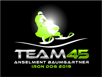 Team 45 logo design by MagnetDesign