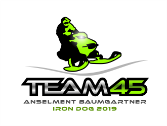Team 45 logo design by MagnetDesign