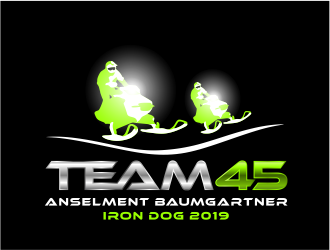 Team 45 logo design by MagnetDesign