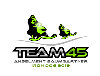 Team 45 logo design by MagnetDesign