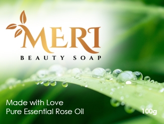 MERI logo design by GemahRipah