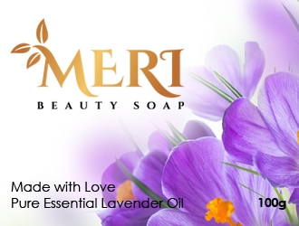 MERI logo design by GemahRipah