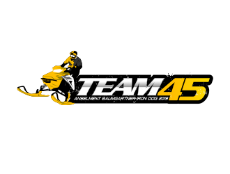 Team 45 logo design by yadi
