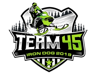 Team 45 logo design by logoguy