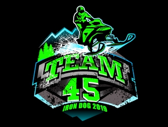 Team 45 logo design by logoguy