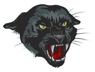 Panthers logo design by onamel